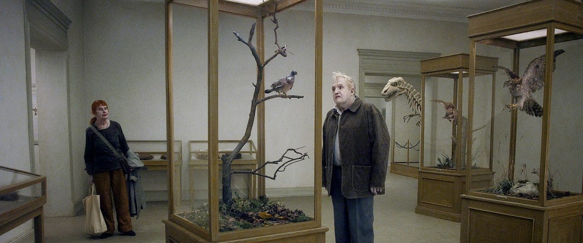 Pick of the Day: "A Pigeon Sat on a Branch Reflecting on Existence"